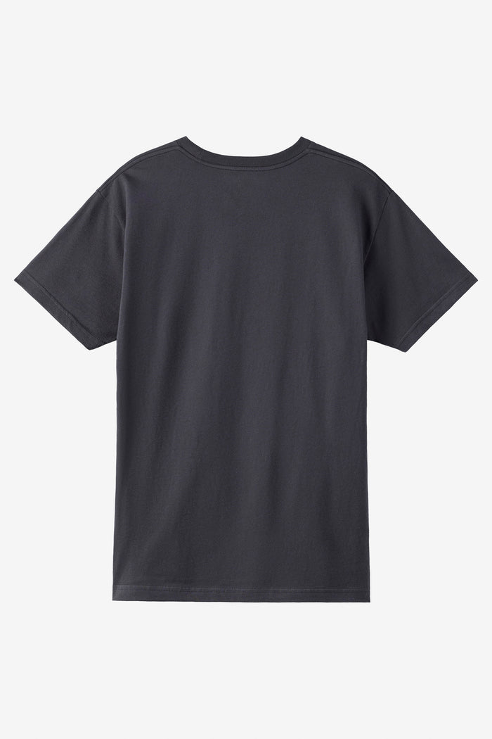 Badge Standard Fit Tee -  | O'Neill