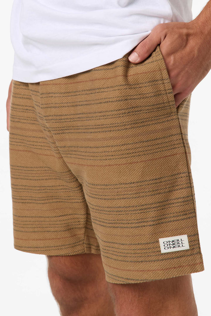Bavaro Stripe 19" Shorts - Elmwood | O'Neill