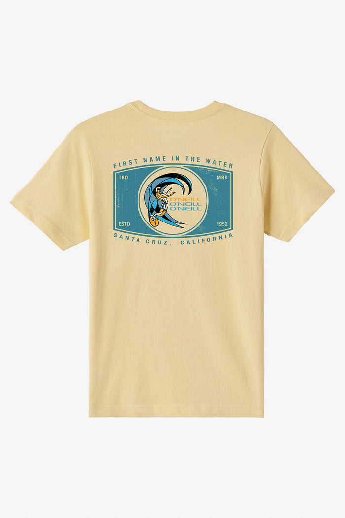 Boy's Forever Tee - Lemon Grass | O'Neill