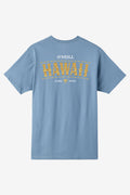 Boy's Hawaii Arch Tee - Blue Mirage | O'Neill