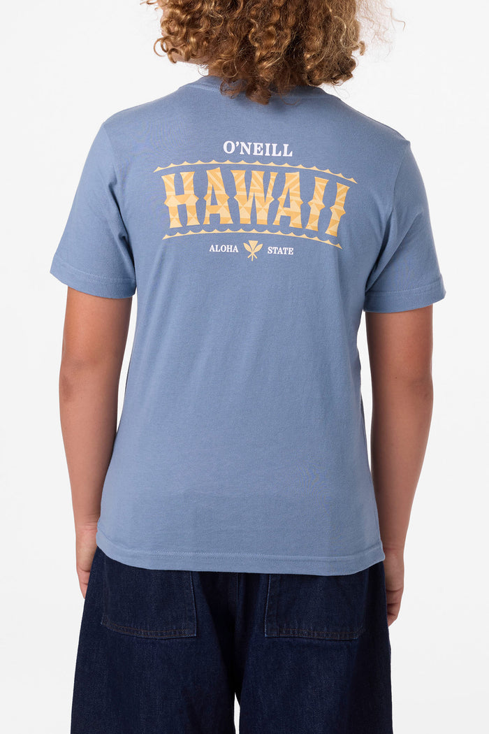 Boy's Hawaii Arch Tee - Blue Mirage | O'Neill