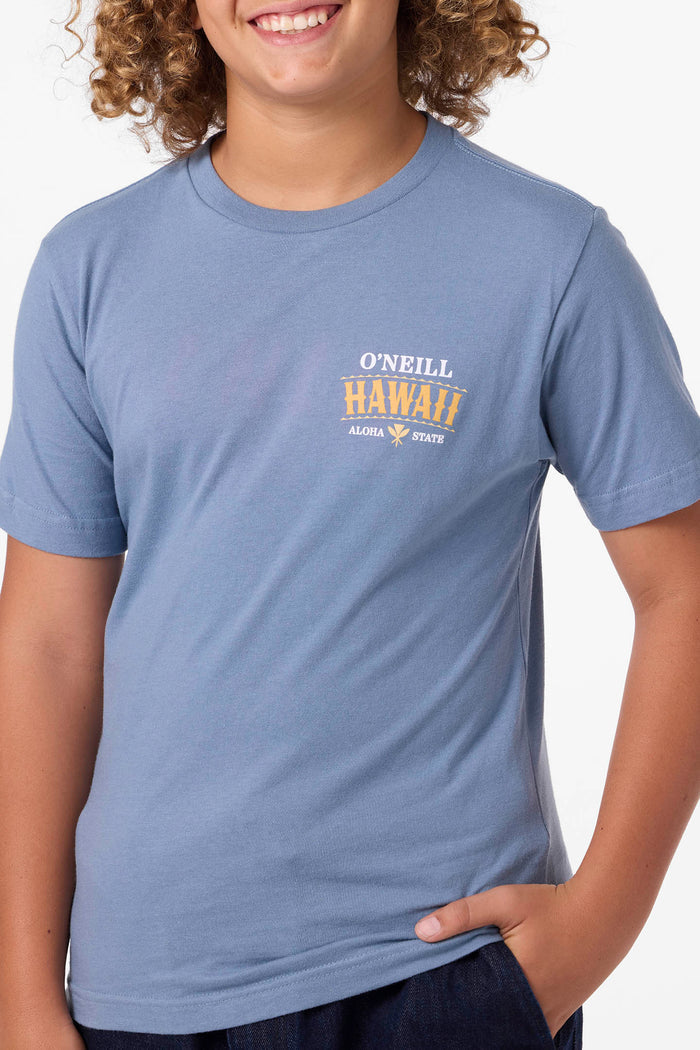 Boy's Hawaii Arch Tee - Blue Mirage | O'Neill