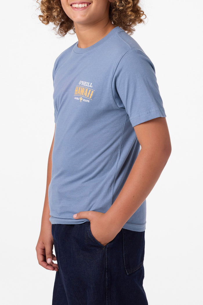 Boy's Hawaii Arch Tee - Blue Mirage | O'Neill