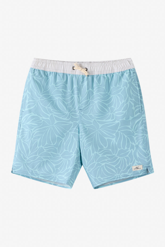 Boy's Hermosa Elastic Waist Lined 16" Swim Trunks - Stone Blue | O'Neill