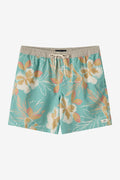 Boy's Hermosa Elastic Waist Lined 16" Swim Trunks