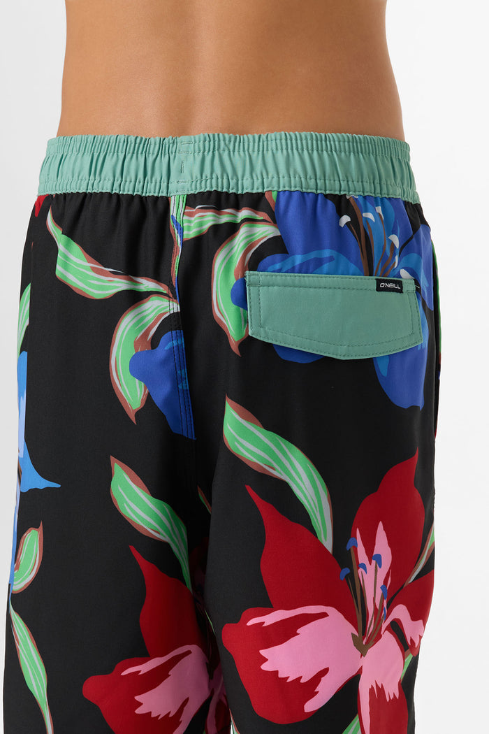 Boy's Hermosa Elastic Waist Lined 16" Swim Trunks