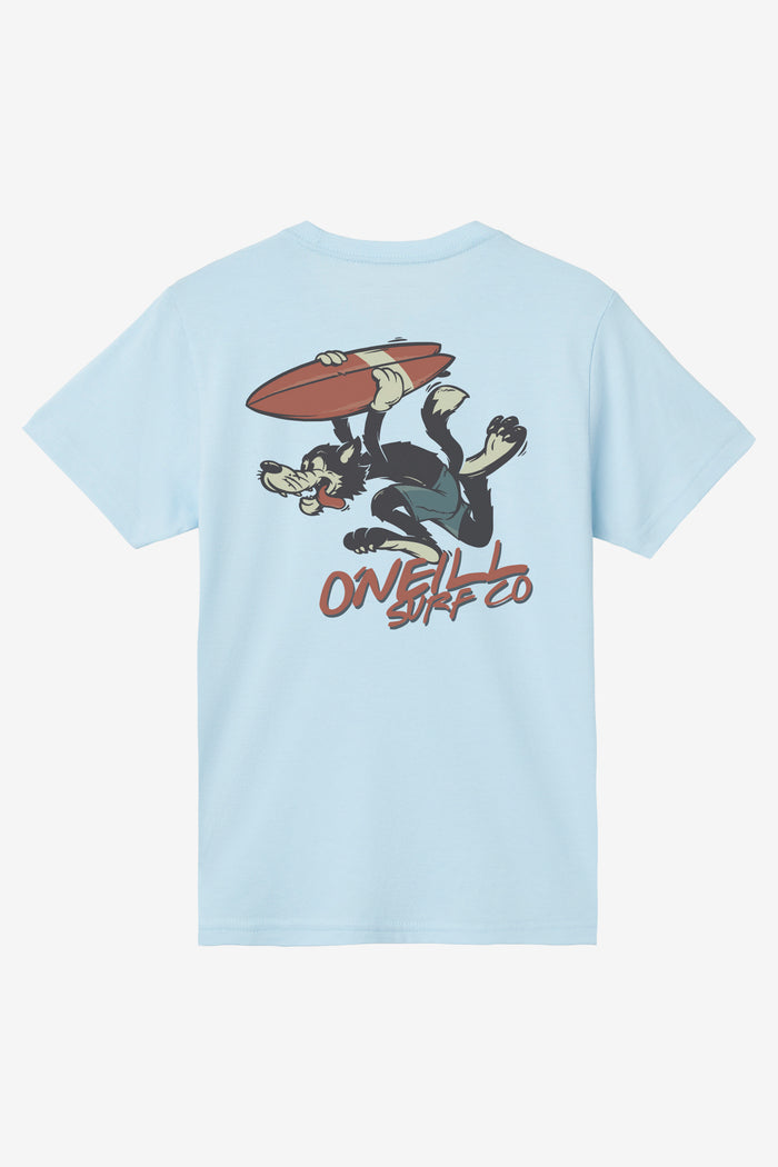 Boy's Hungry Like Tee - Sky Blue Heather | O'Neill