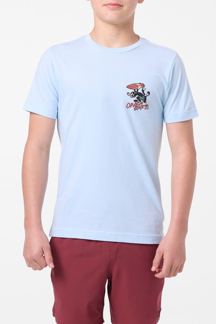 Boy's Hungry Like Tee - Sky Blue Heather | O'Neill