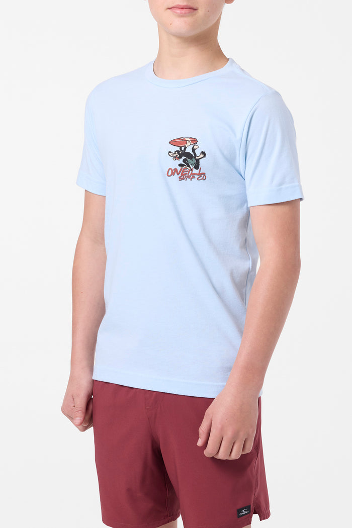 Boy's Hungry Like Tee - Sky Blue Heather | O'Neill