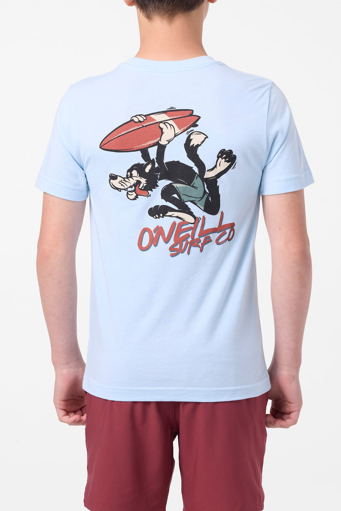 Boy's Hungry Like Tee - Sky Blue Heather | O'Neill