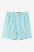 Boy's Lennox Hermosa Solid Volley 16" Swim Trunks - Canal Blue | O'Neill