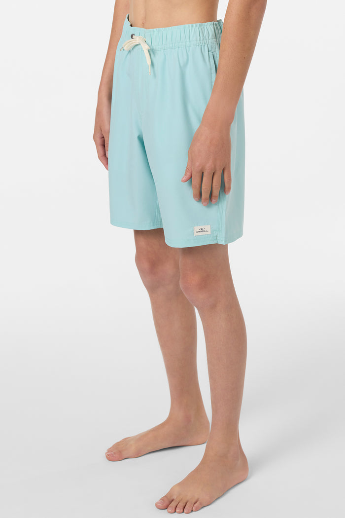 Boy's Lennox Hermosa Solid Volley 16" Swim Trunks - Canal Blue | O'Neill