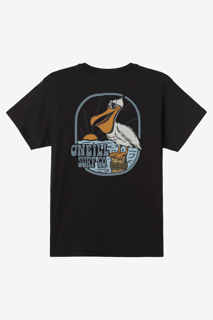 Boy's Pelly Tee - Black | O'Neill