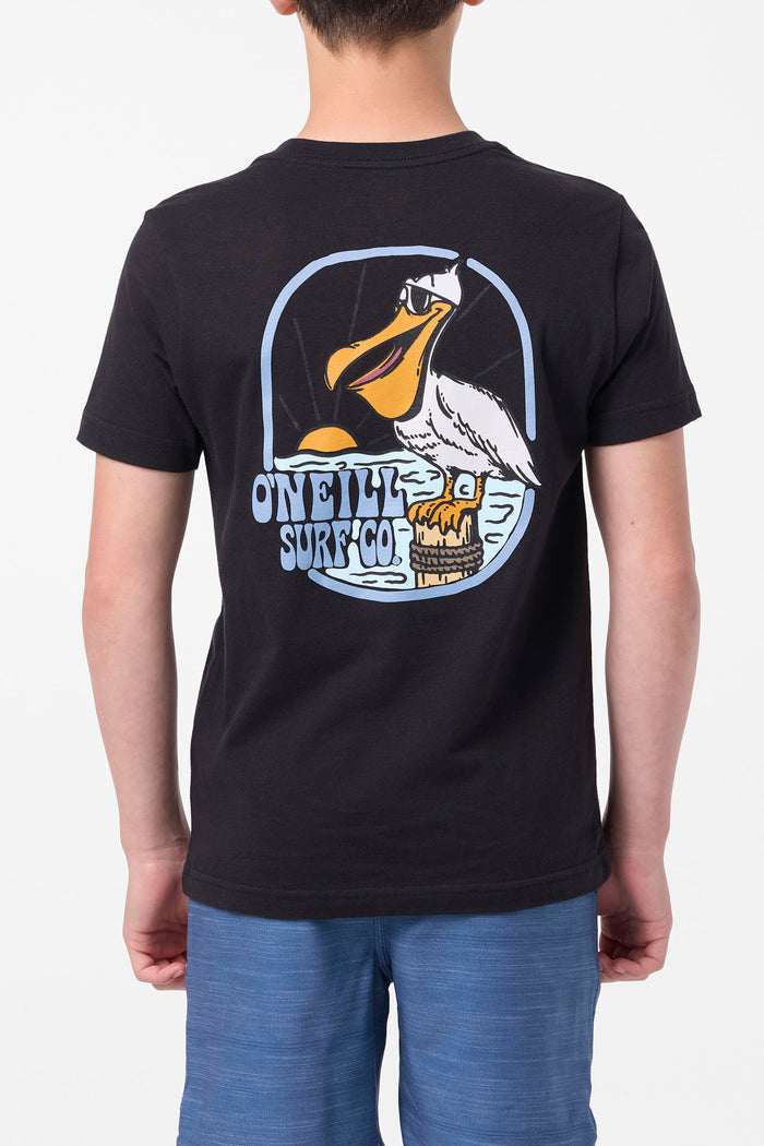 Boy's Pelly Tee - Black | O'Neill