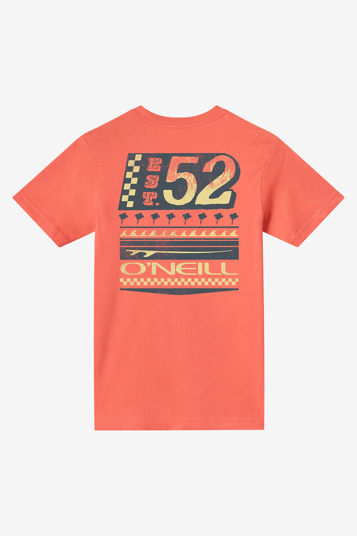 Boy's Rays Jersey Tee - Spiced Coral | O'Neill