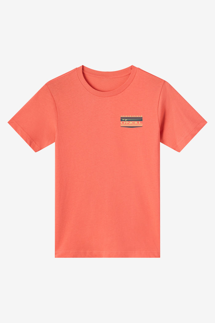 Boy's Rays Jersey Tee - Spiced Coral | O'Neill