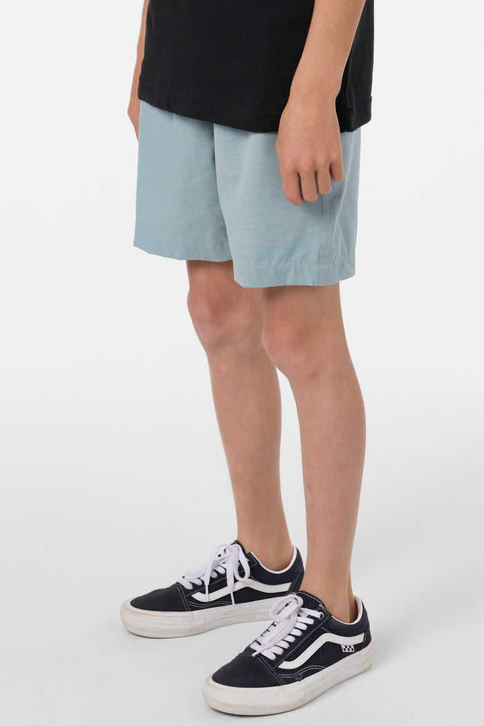 Boy's Reserve Light Check Elastic Waist 16" Hybrid Shorts - Stone Blue | O'Neill