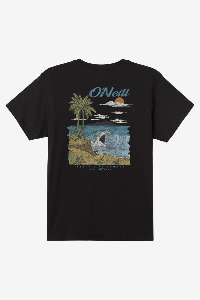 Boy's Shorebreak Tee - Black | O'Neill