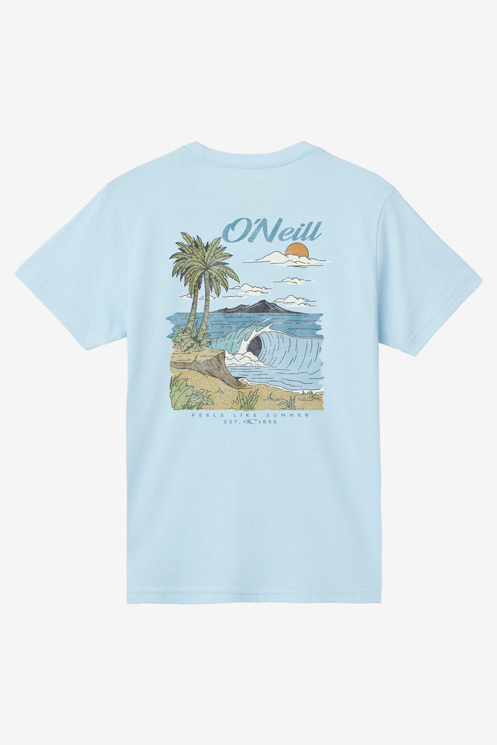 Boy's Shorebreak Tee - Sky Blue Heather | O'Neill