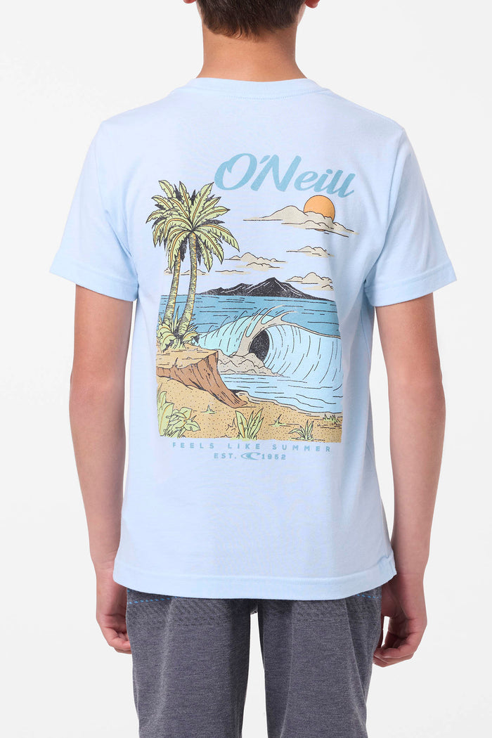 Boy's Shorebreak Tee - Sky Blue Heather | O'Neill