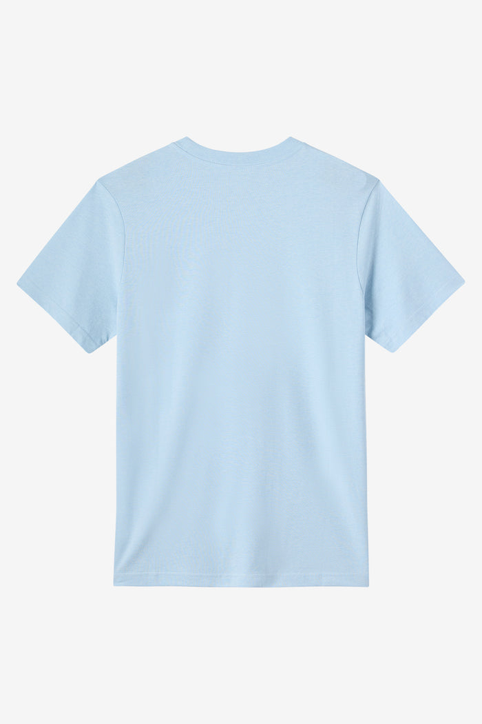 Boy's Team O'Neill Tee - Sky Blue Heather | O'Neill
