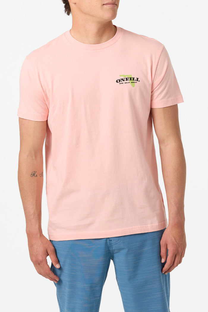 Coastal Standard Fit Tee - Candlelight | O'Neill
