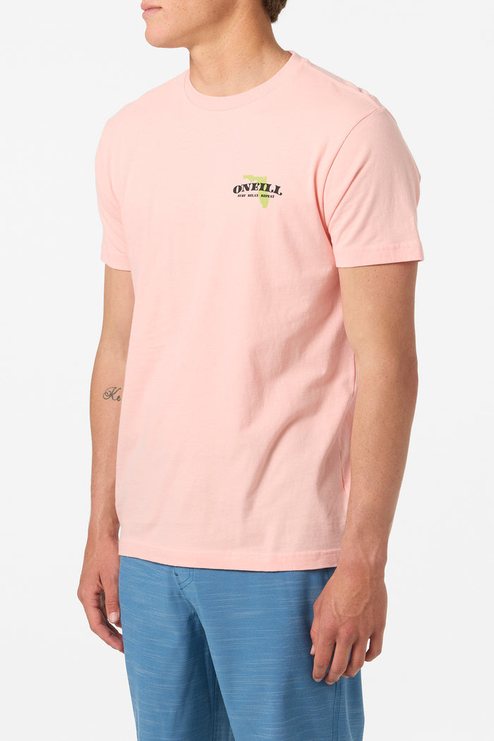 Coastal Standard Fit Tee - Candlelight | O'Neill