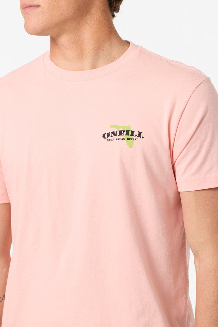 Coastal Standard Fit Tee - Candlelight | O'Neill