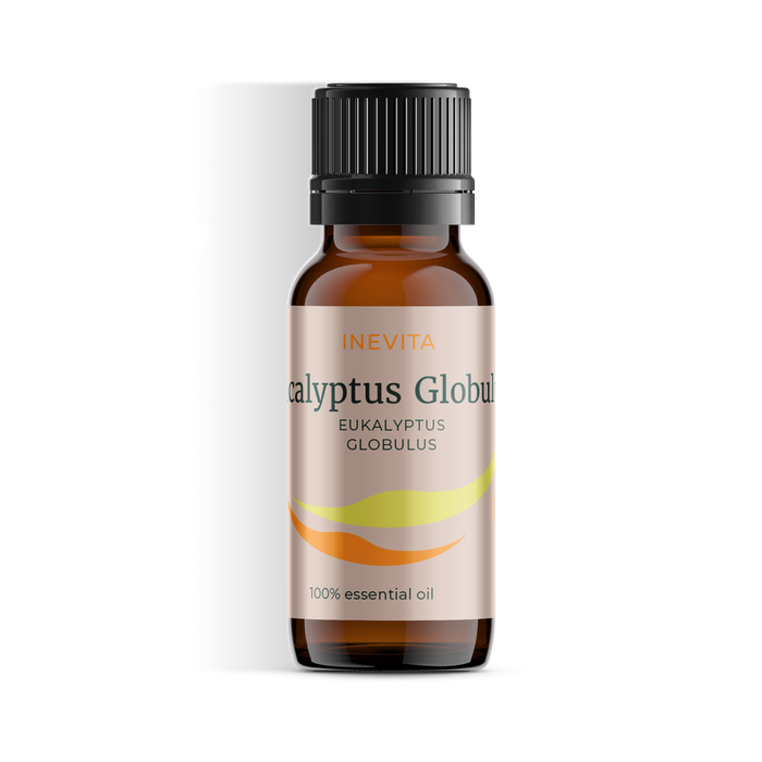 Eucalyptus Globulus
