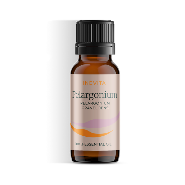 Geranium