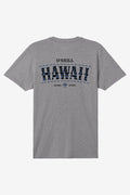 Hawaii Arch Standard Fit Tee - Heather Grey | O'Neill