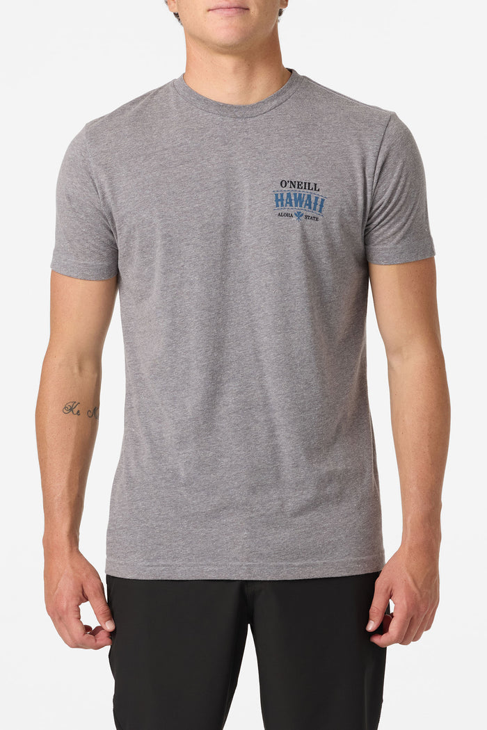 Hawaii Arch Standard Fit Tee - Heather Grey | O'Neill