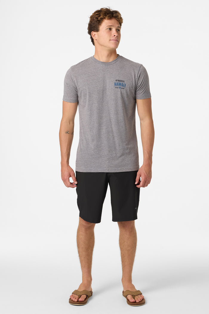 Hawaii Arch Standard Fit Tee - Heather Grey | O'Neill