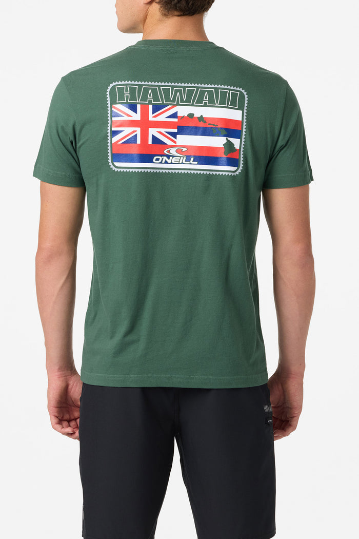 Hawaii Flag 2 Standard Fit Tee - Cilantro | O'Neill