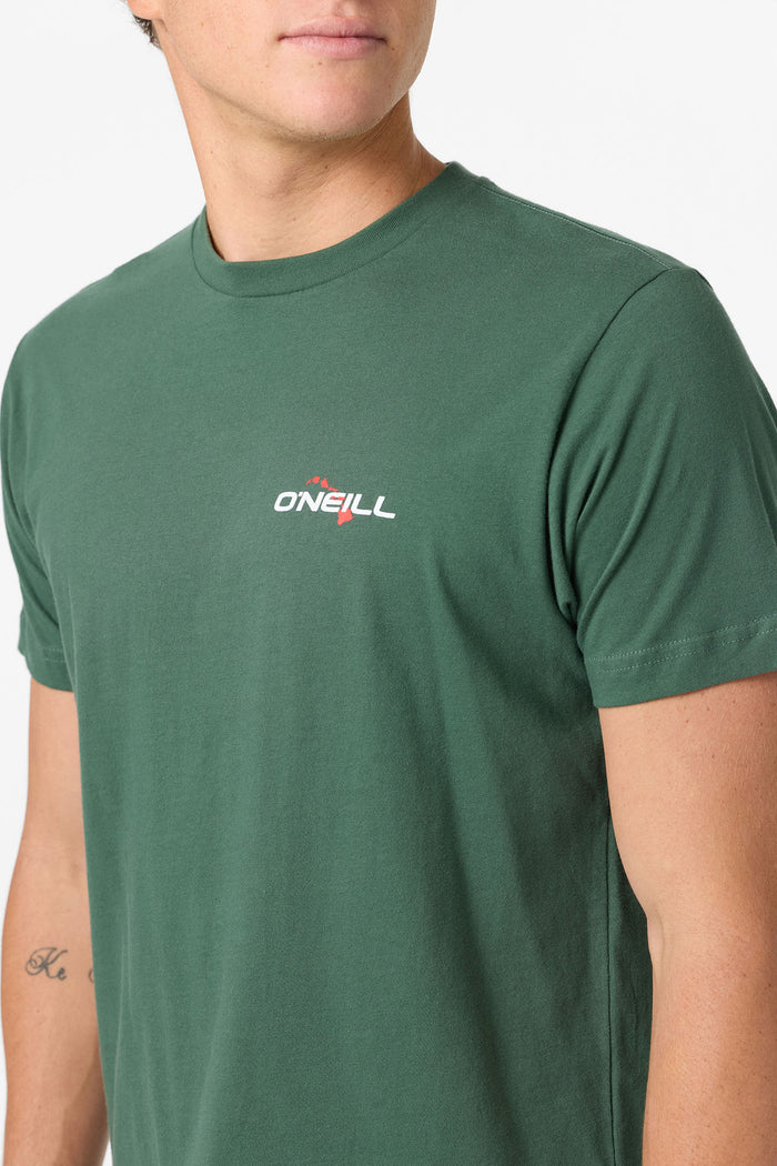 Hawaii Flag 2 Standard Fit Tee - Cilantro | O'Neill