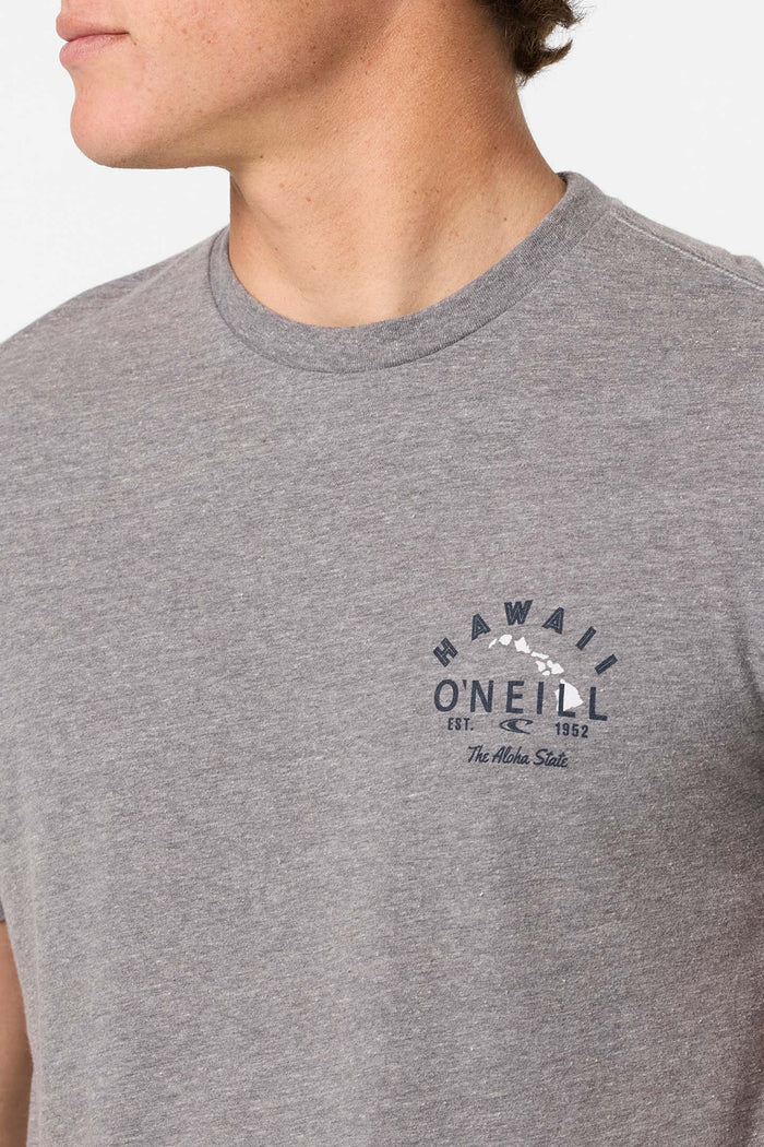 Hawaii Rooster Standard Fit Tee - Heather Grey | O'Neill