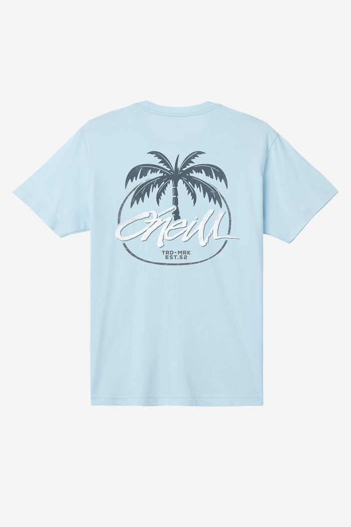 Home Grown Standard Fit Tee - Sky Blue Heather | O'Neill