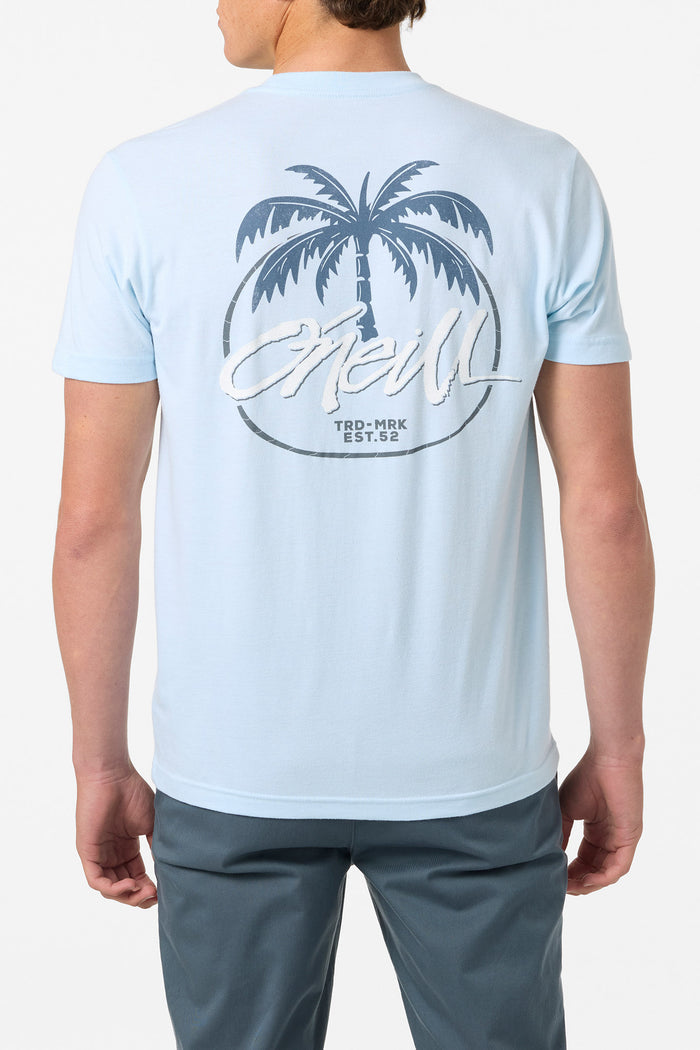 Home Grown Standard Fit Tee - Sky Blue Heather | O'Neill