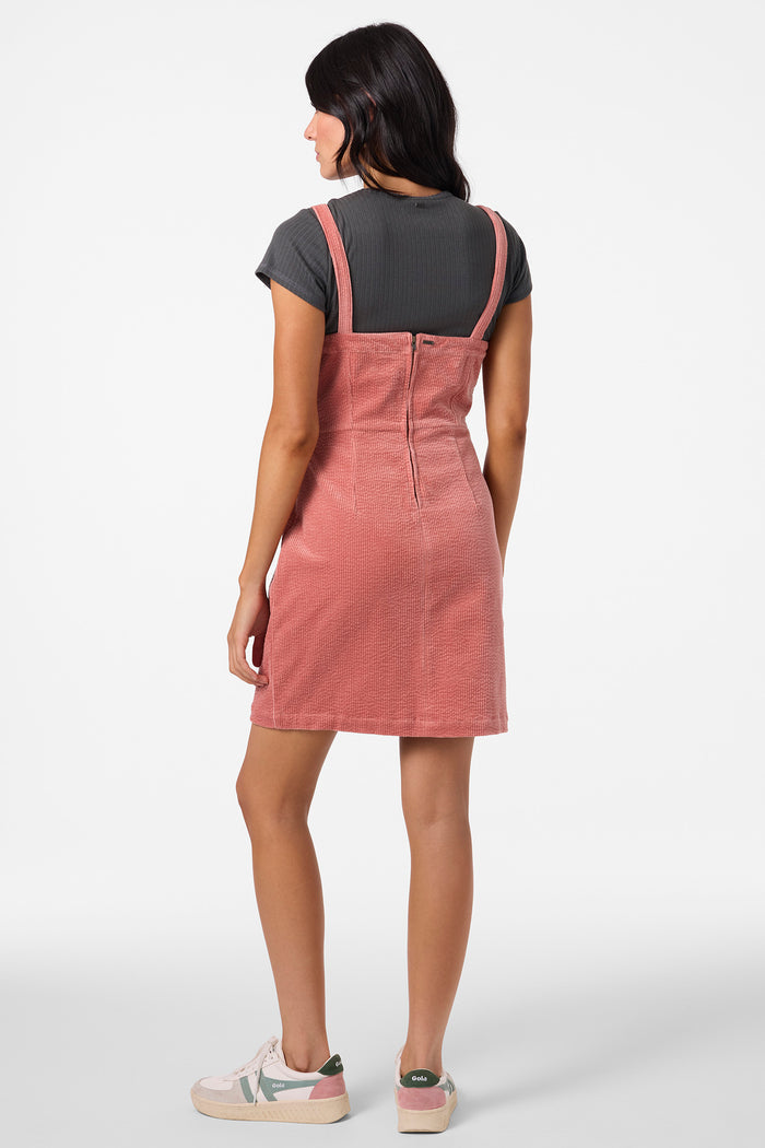 Langford Mini Dress -  | O'Neill