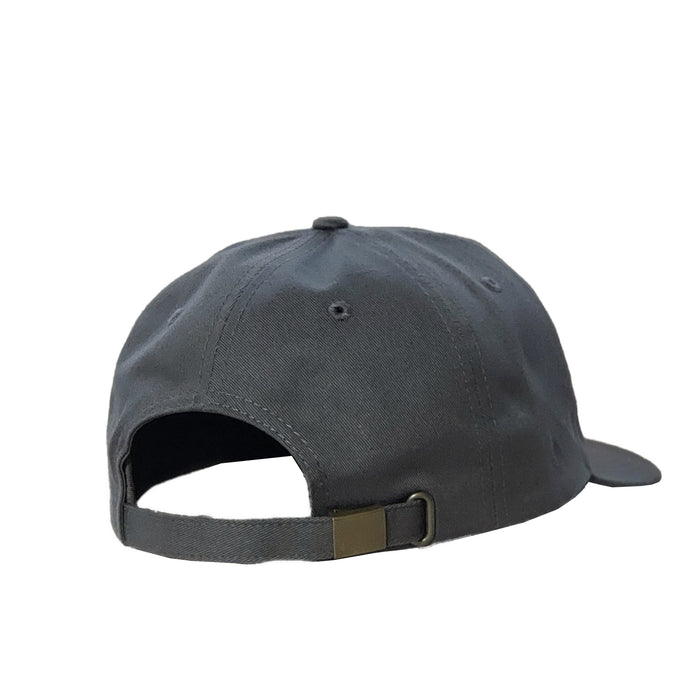 Mount Juneau Dad Hat - Grey
