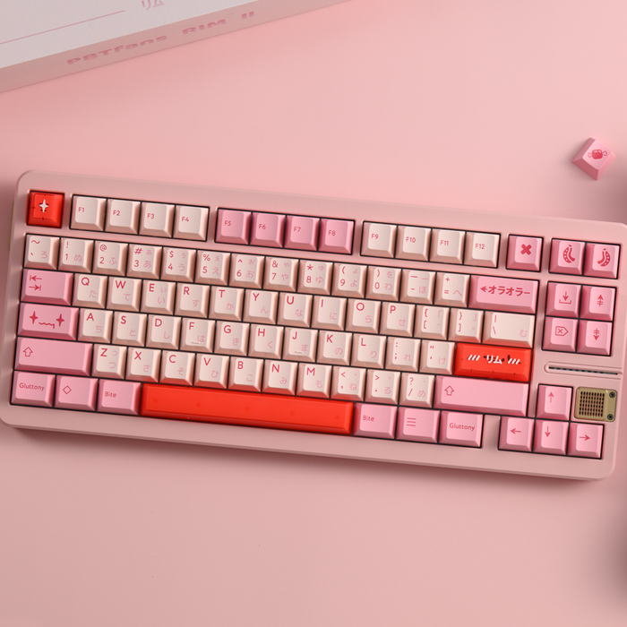 PBTfans Rim R2 Tuş Takımı