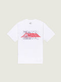 Polera M/C Hombre Wave Check Tee Blanco Vans