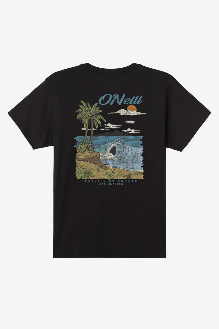 Shorebreak Standard Fit Tee - Black | O'Neill
