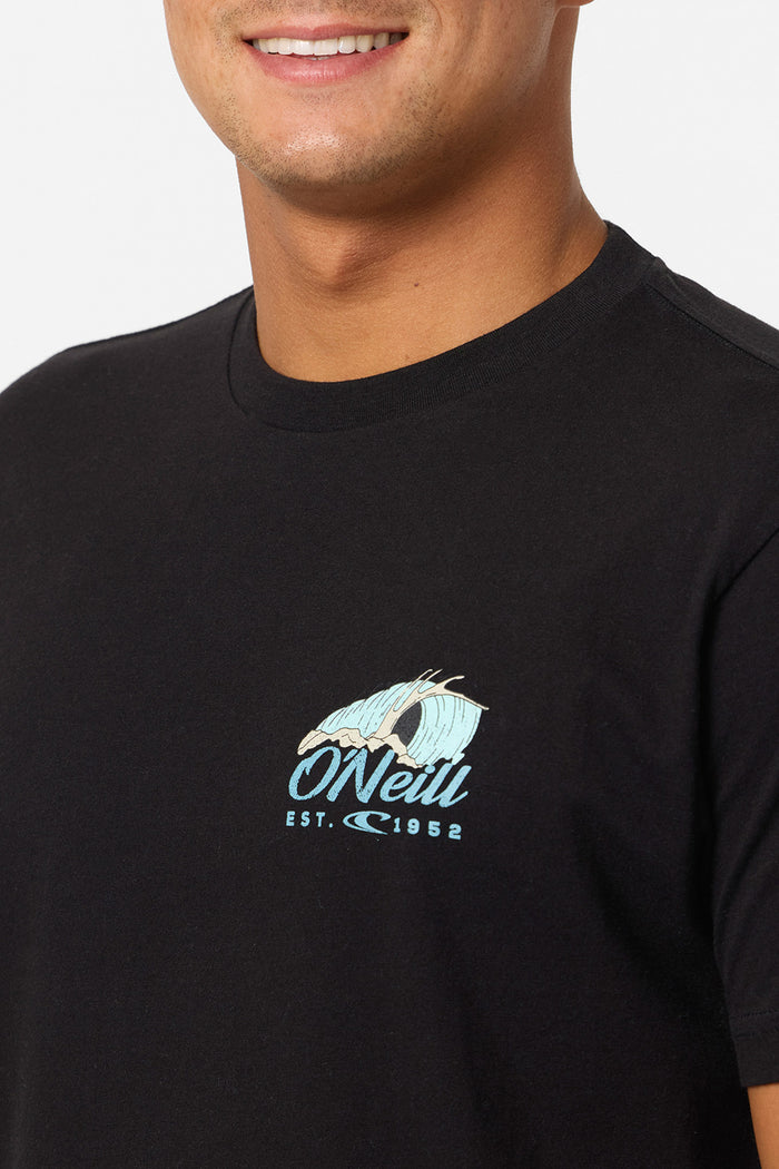 Shorebreak Standard Fit Tee - Black | O'Neill