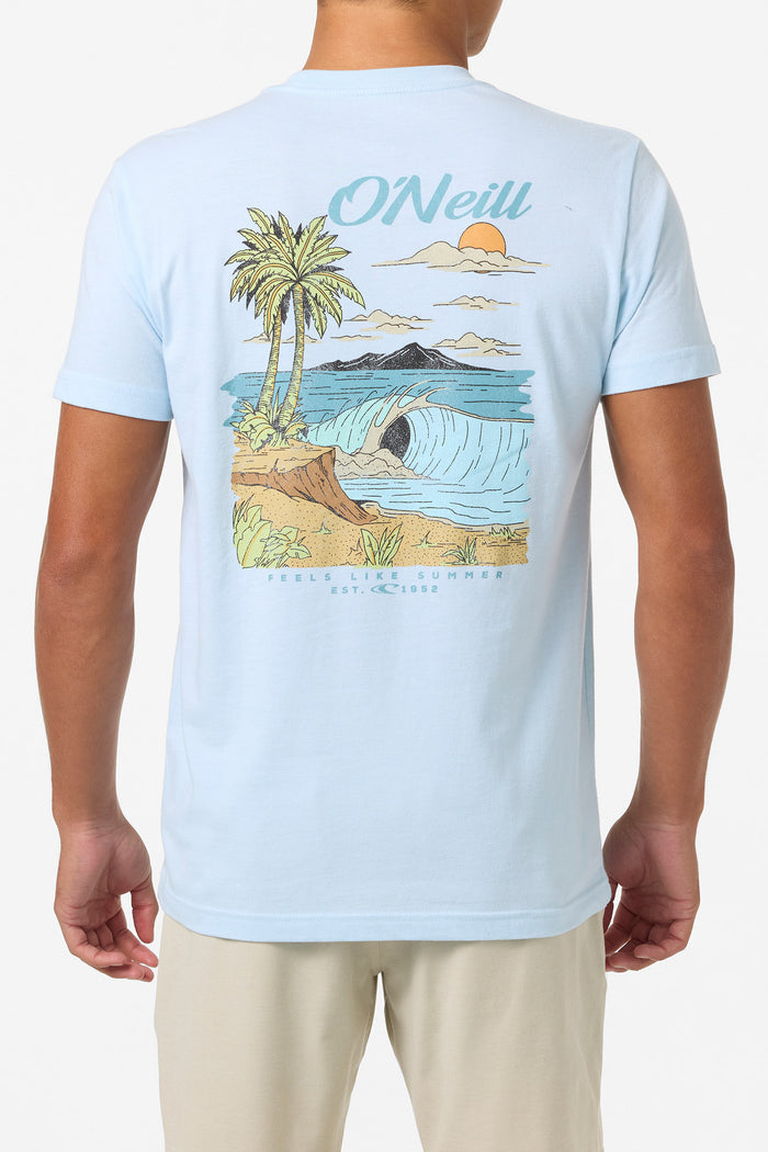 Shorebreak Standard Fit Tee - Sky Blue Heather | O'Neill
