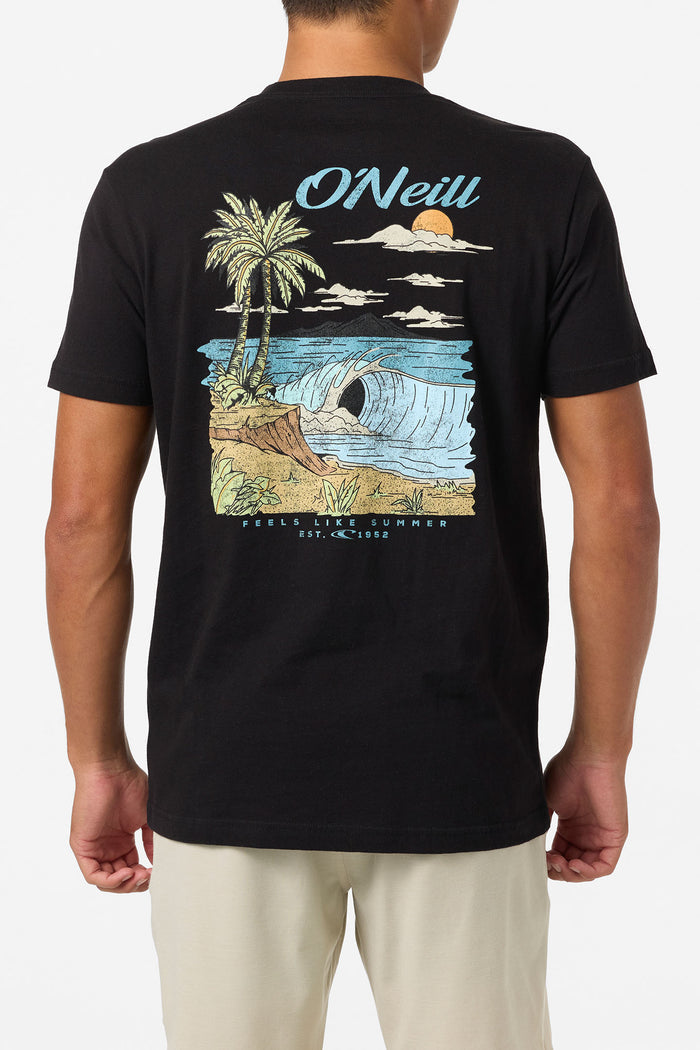 Shorebreak Standard Fit Tee - Black | O'Neill