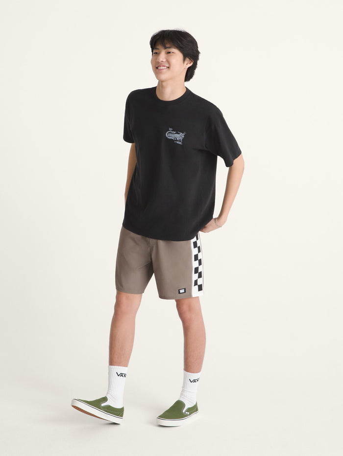 Shorts Hombre Daily Sideline Gris Vans