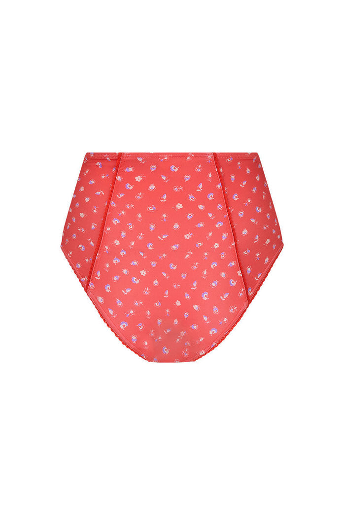 Spell-SunshineBandit_HighWaistedBrief-Cayenne-361.jpg