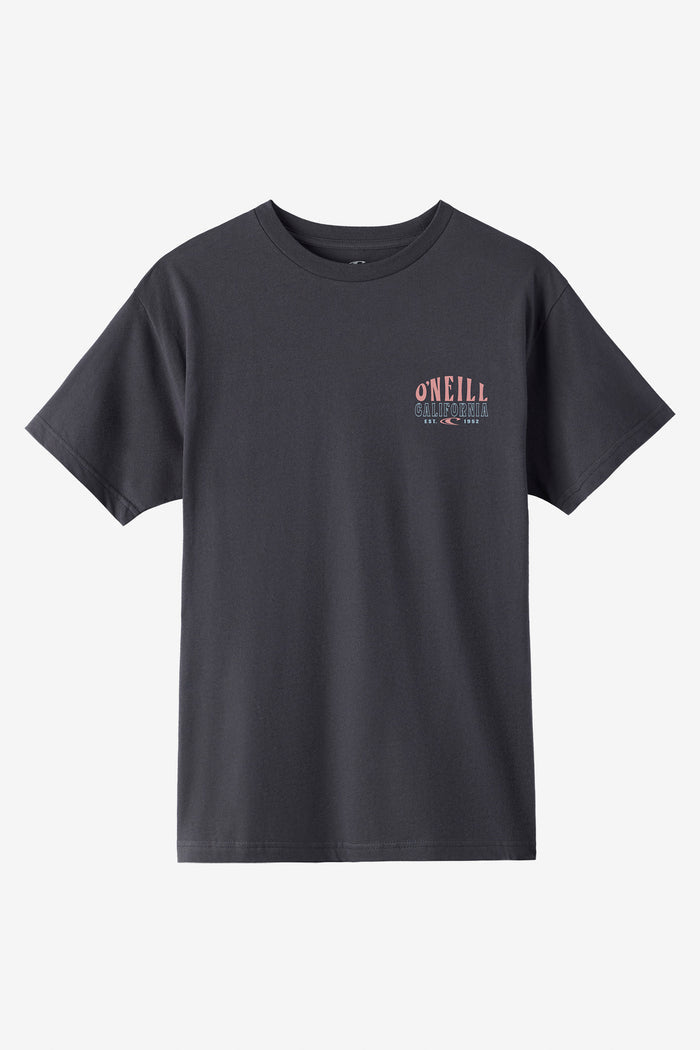 Surf, Sun, Stoke Standard Fit Tee -  | O'Neill