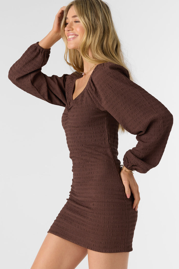 Tegan Smocked Knit Long Sleeve Mini Dress - Chocolate | O'Neill